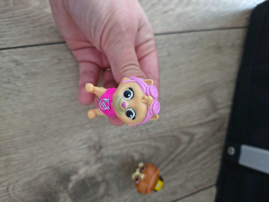 Koty kotki Hunfingera psi patrol paw patrol