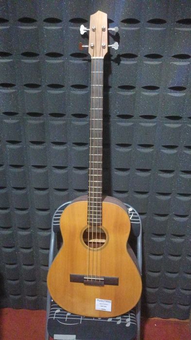 Baixo Acústico APC 601