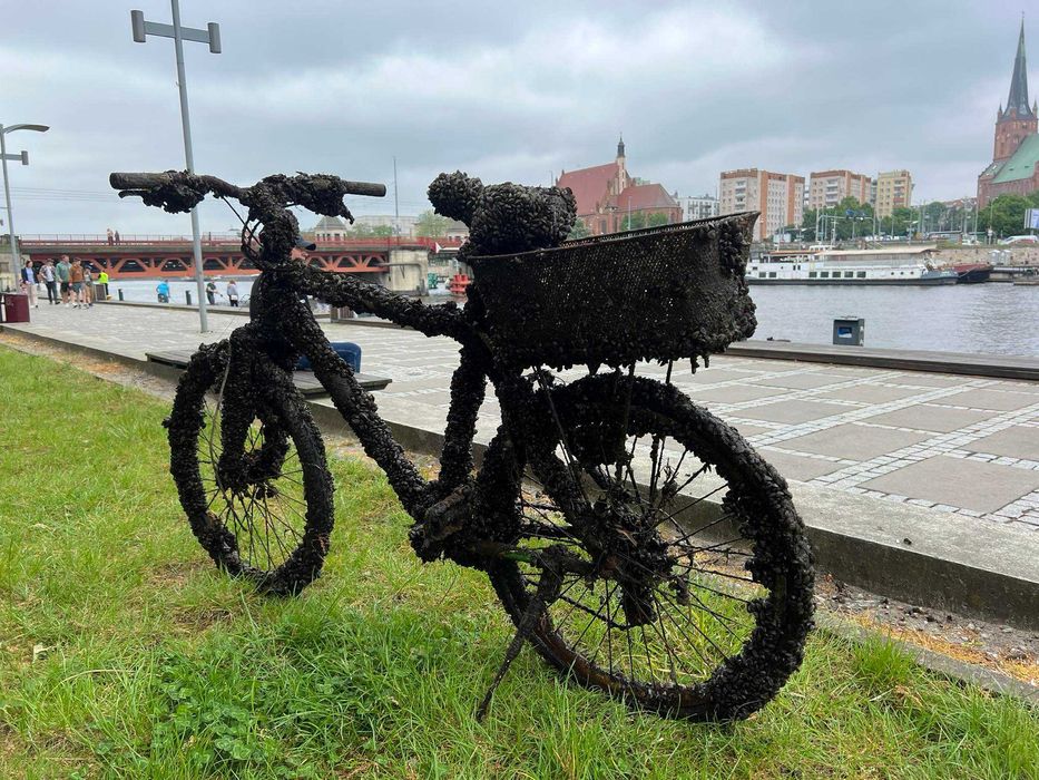 Kotwica nierdzewna z liną do magnesu neodymowego do poszukiwań