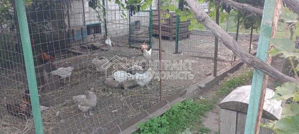 Будинок з  ділянкою  для  бізнесу біля озера та бору продаж