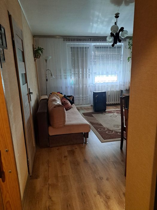 Zdjęcie 4