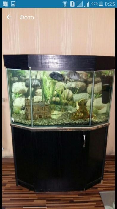 аквариум 200л крышка тумба,фильтр,грунт