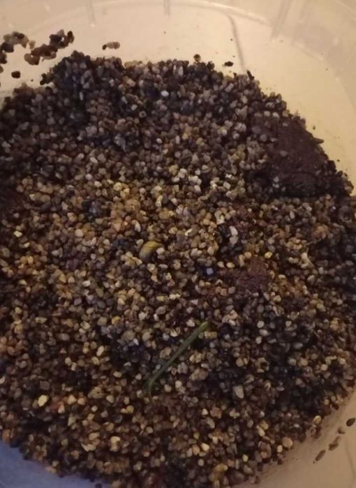 Areao 12kg aproximadamente