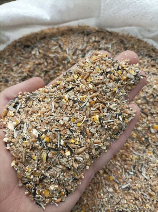 Смеси для курей, несушка, бройлер, Одесса, зерно Одесса, зерно смесь