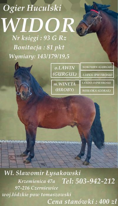 Ogier huculski Widor