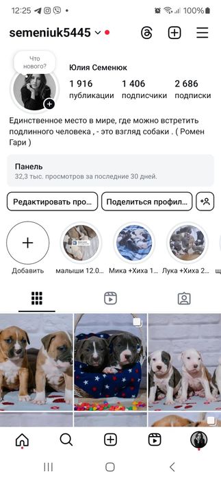 Дві гарнюні дівчинки ам.стаффа..