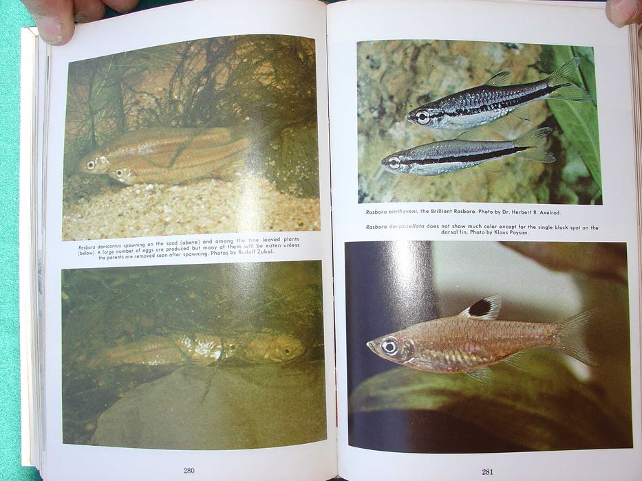 Enciclopedia of Tropical Fishes