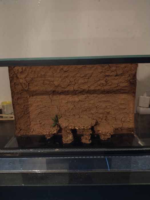 Sprzedam terrarium o wymiarach 50 × 30 × 30 cm