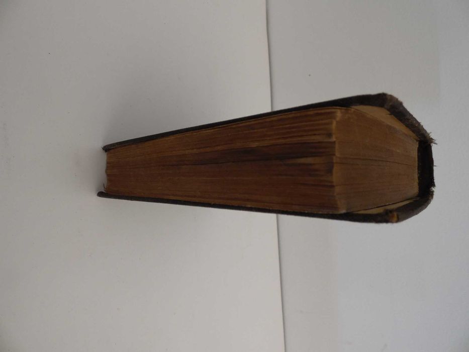 Diccionario Portuguez-Inglez - 1888