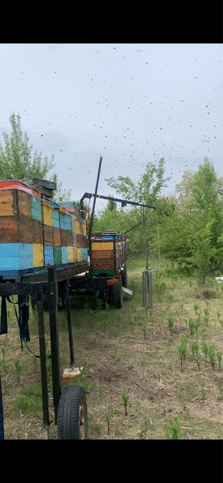 Причеп для бджіл