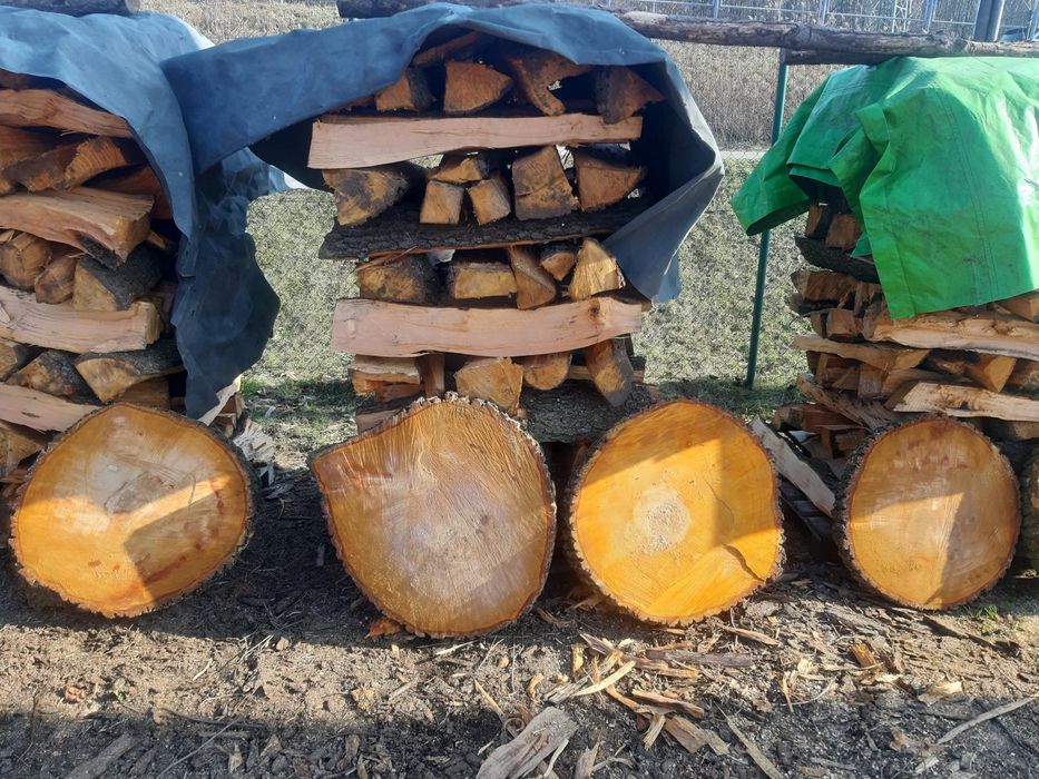 Sprzedam plastry drewna na stolik