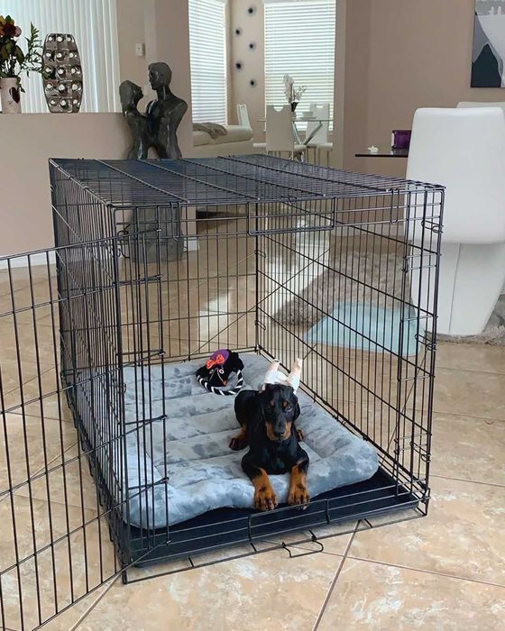 Клітка для собак Польша, клетка переноска вольер для собак XXL-X/S