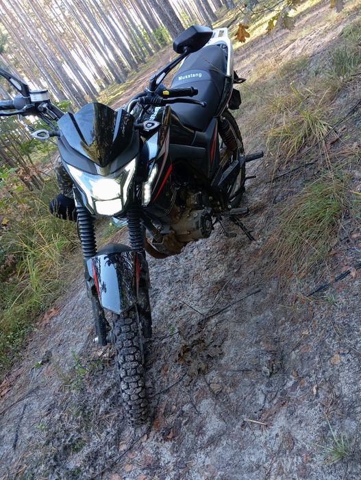 Мустанг200 як новий