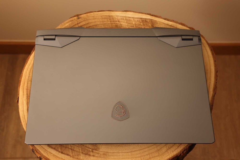 MSI GE66 Raider 10SF - 3TB