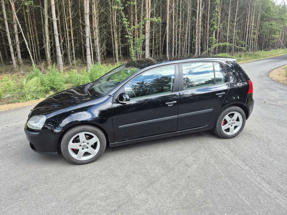 Volkswagen Golf V 1.9 tdi