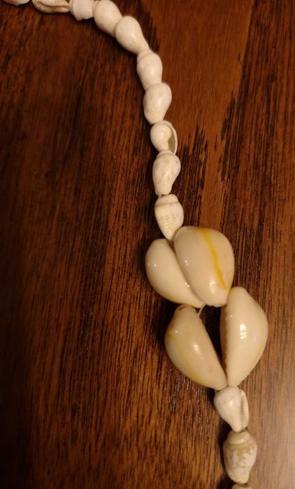 Korale muszelki z Florydy