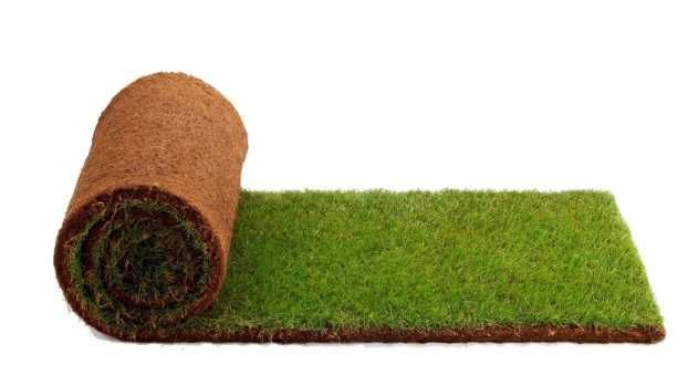 Relva Natural com Sistema de Rega (Aplicação)