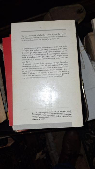 Um quarto cheio espelhos João Miguel Fernandes Jorge