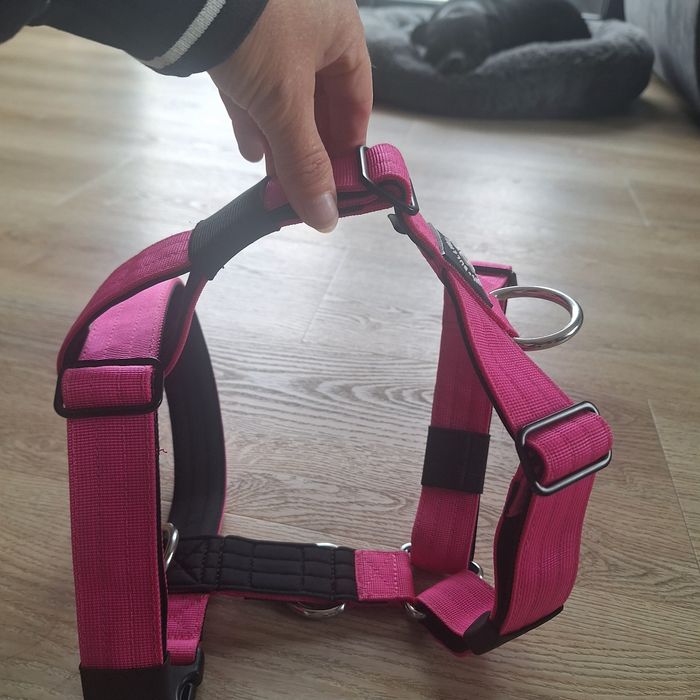 Szelki BullyBillows M