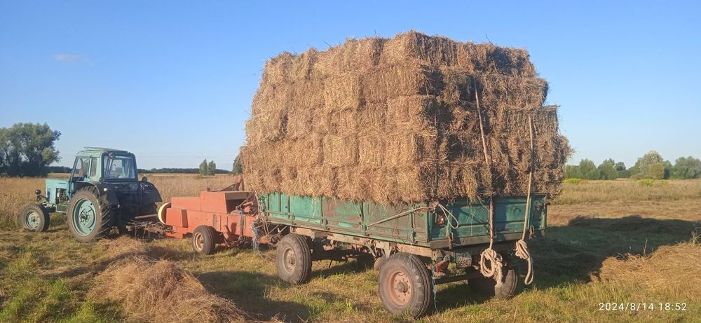 Продам сіно та солому