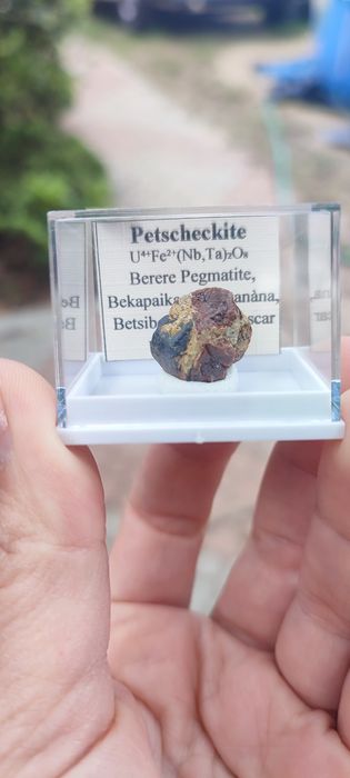 Minerały uranowe do kolekcji petscheckit