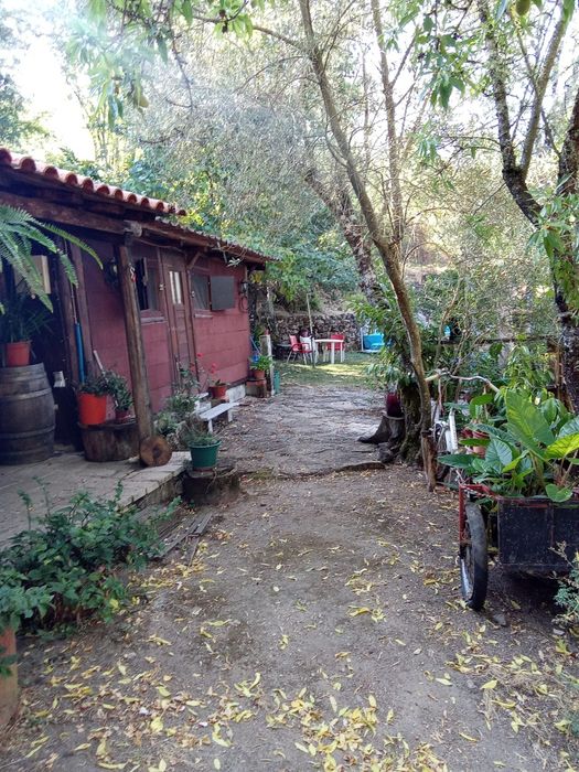 Quinta 3ha Famalicão da Serra