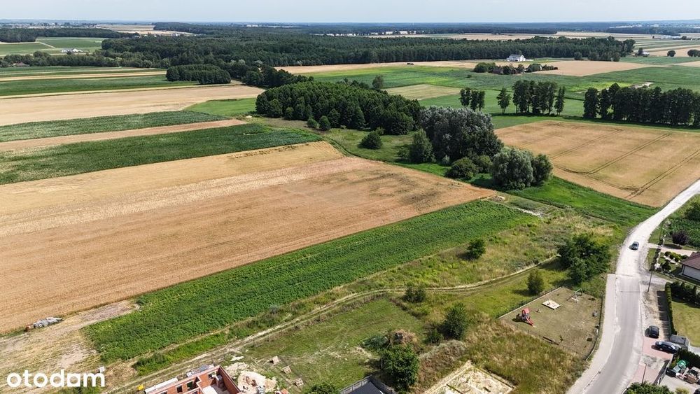 Działki z wydanymi warunkami zabudowy Skalmierzyce
