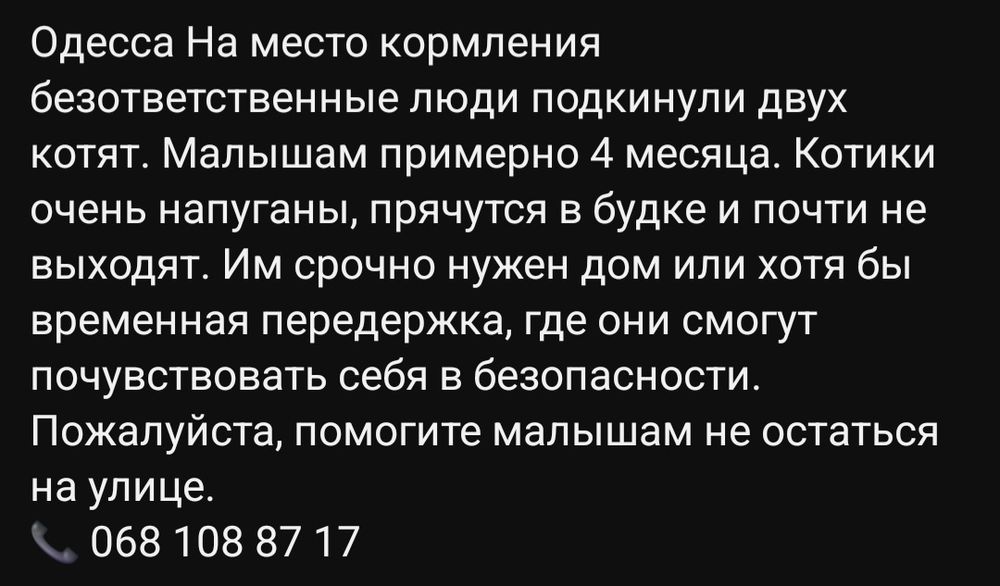 Отдам даром в добрые руки полосатых котят