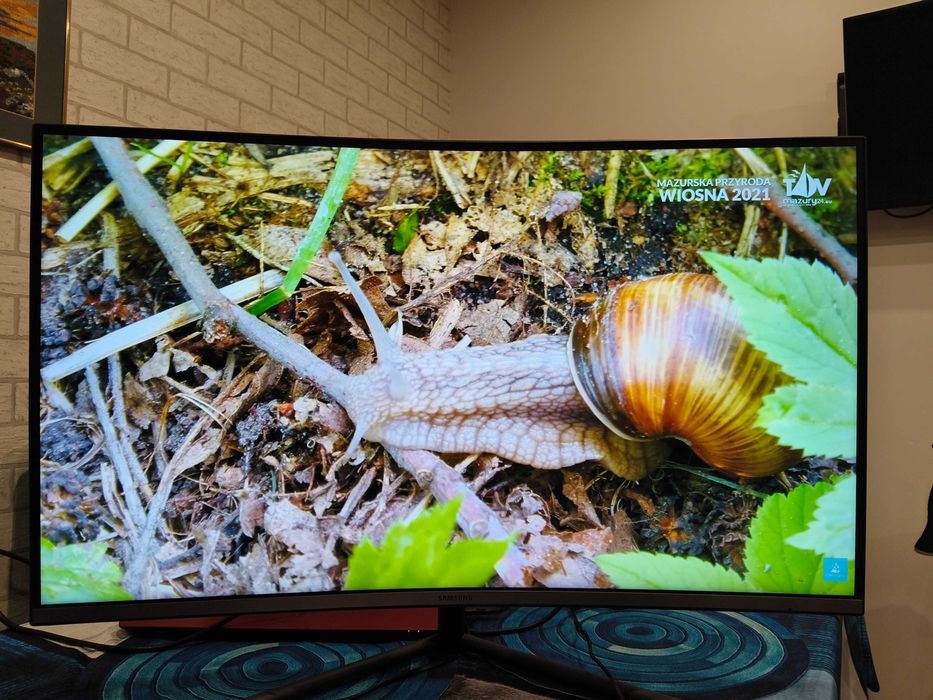 Monitor Samsung zakrzywiony 32