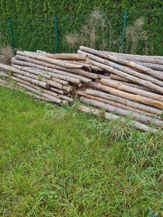 Stemple drewniane budowlane