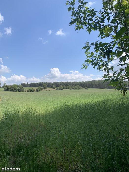 Działka nad najczystszym jeziorem w Polsce-Tręby Stare 481m2 lub 686m2