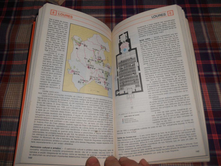 Guia Laranja Lisboa / Portuguese for travellers