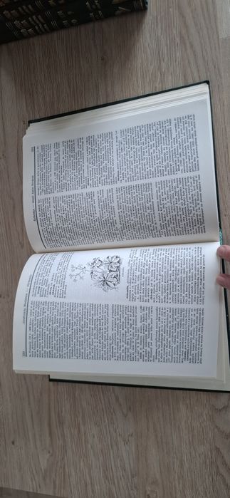 Powszechna Encyklopedia Gutenberga