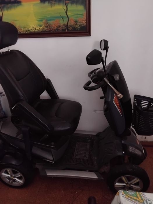 Socter pantera otimo eatsdo