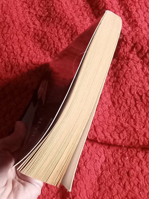 Livro saber estar de Vicky Fernandes