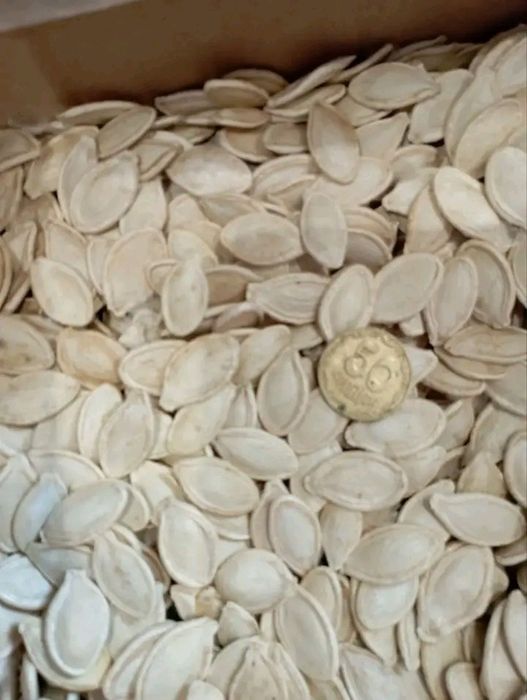 Ча га березка ,з города своє