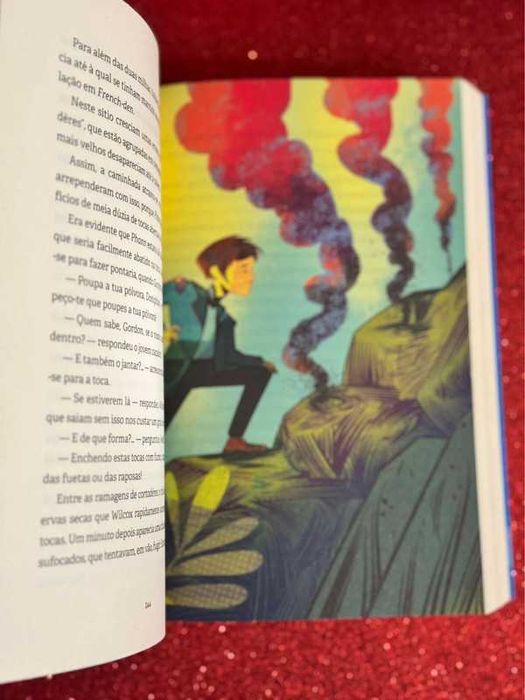 Livro “Dois anos de ferias”
