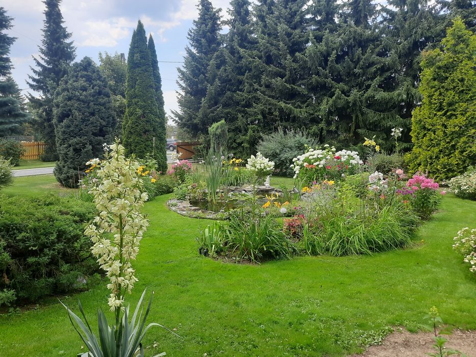 Apartament 2 pokojowy ( wolne terminy  27-28.08 30.08-01.9)