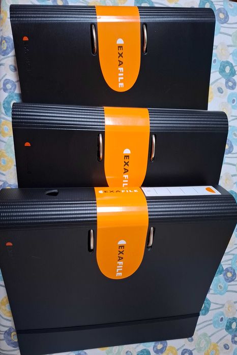 Pastas de arquivo - conjunto de 3