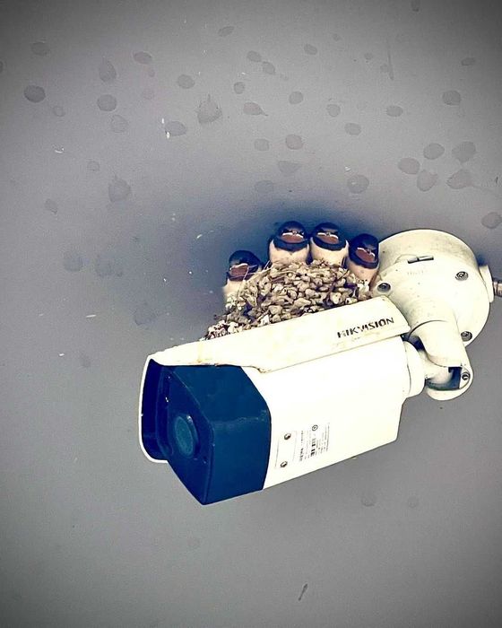 IP камера 2/4Mp Hikvision DS-2CD1323G2-LIUF 1121 1043 63 1T83 микрофон