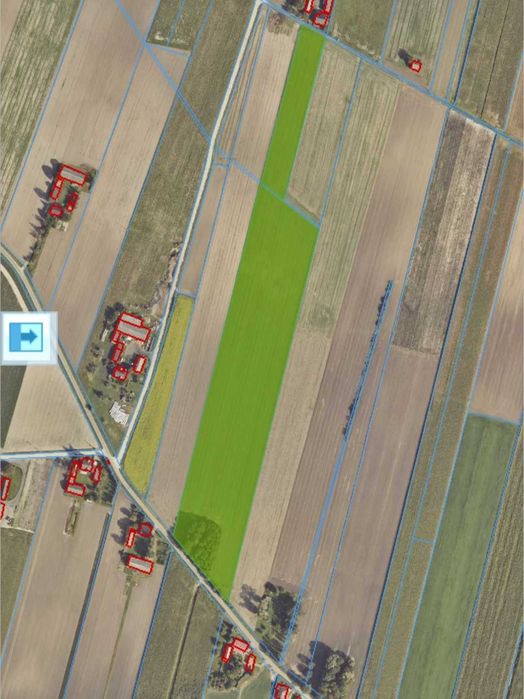 Ziemia rolna 3.6 ha Blizanow