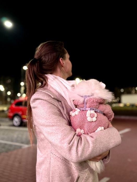 Комплект Одяг для собаки (шпіц, чіхуа, йорк, мопс, мальтіпу, бульдог)