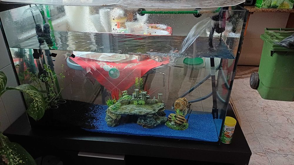 2Aquarios 1 300L e outro 120L+ 2 bombas exteriores de 200L cada