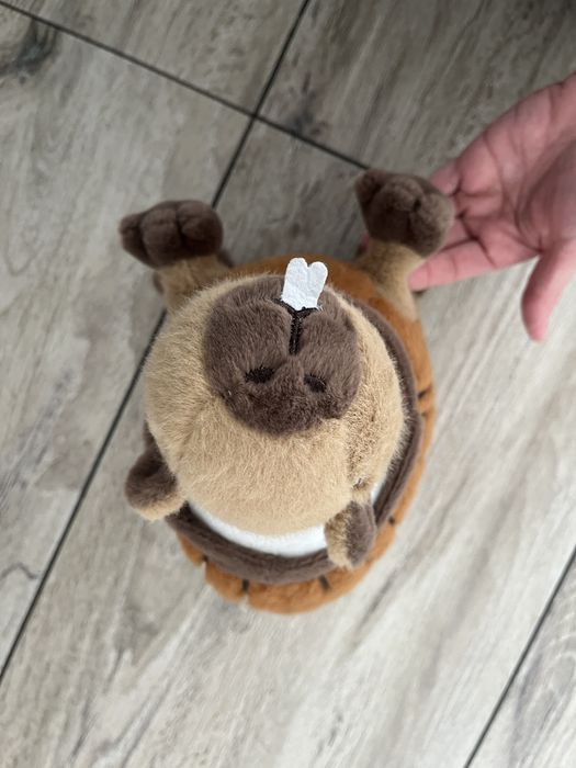maskotka kapibara BRAINROT COCO-NUTO CAPIBARELLO pluszak capybara