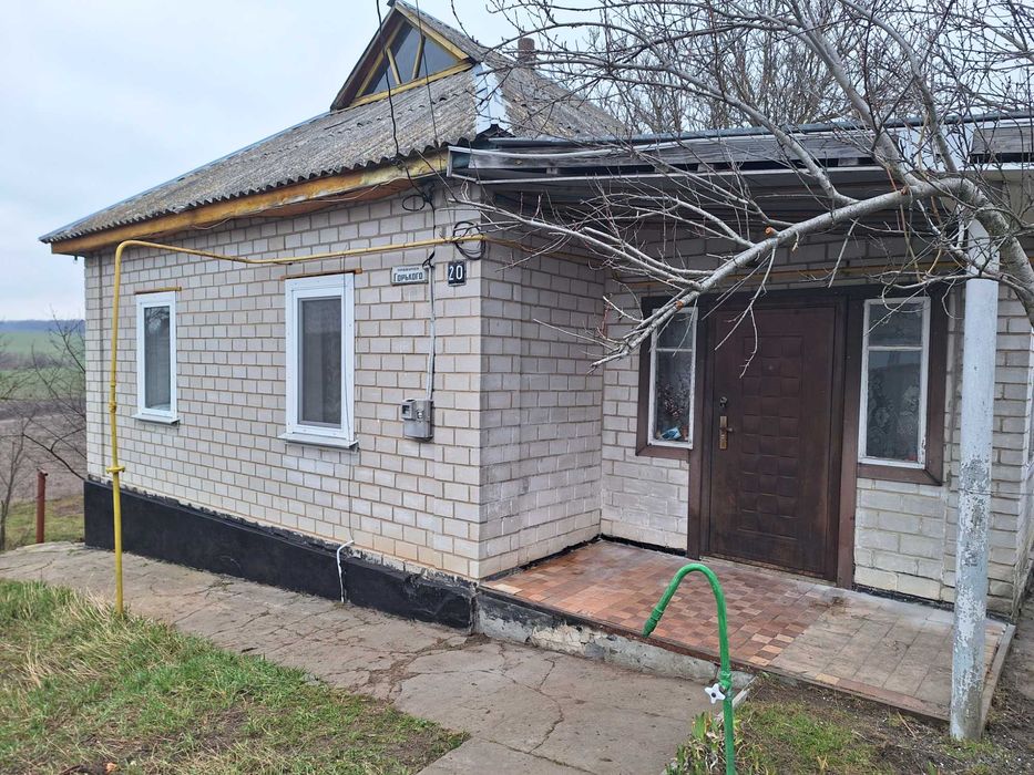 Продаж будинку Кам'янка