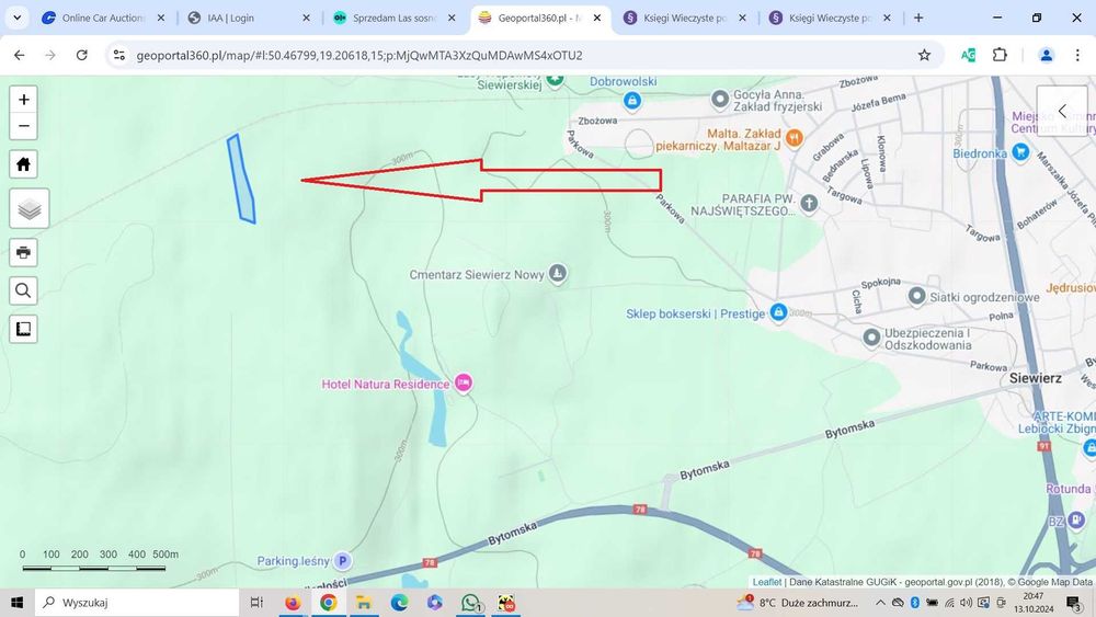 Sprzedam las sosnowy 15500m2 Siewierz powiat Będzin