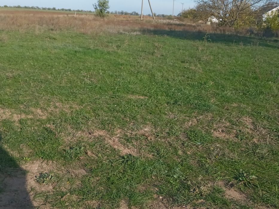 Дом в Петрово-Солонихе, возможен торг