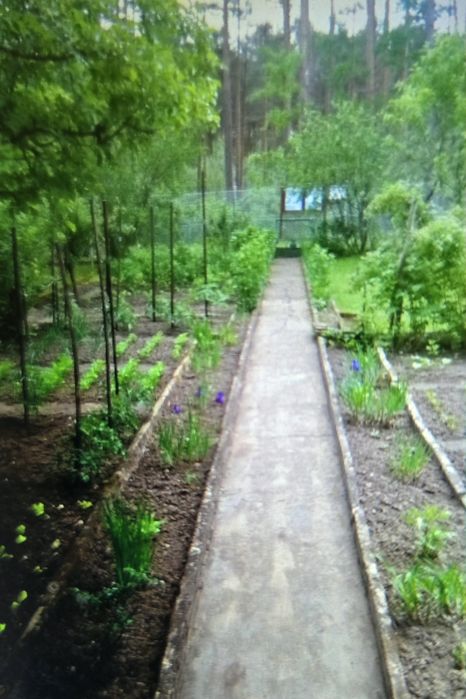 ROD "Zacisze Leśne" Wilkanowo