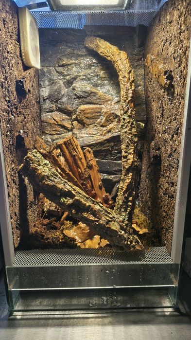 Terrarium 40x25x25
