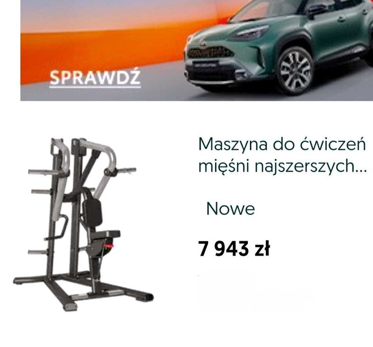 Hammer Low Row wioślarz plecy grzbiet DHZ siłownia olymp hbp hes sewim